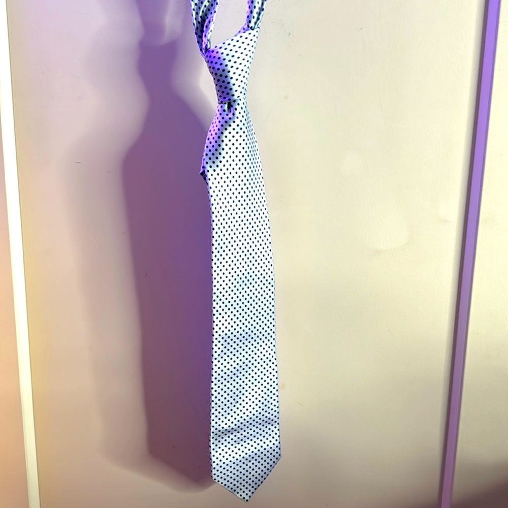 💯 Silk Handmade Italian Made Italo Feretti Tie